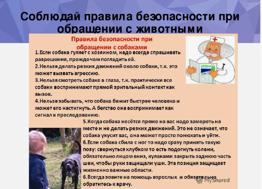 Безопасность.