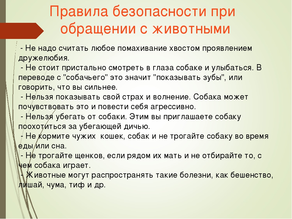 Безопасность.